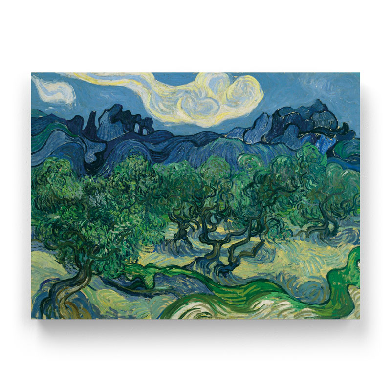 Van Gogh - Olive Trees (Καμβάς)