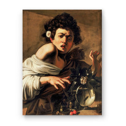 Michelangelo - Boy Bitten by a Lizard (Καμβάς) Michelangelo - Boy Bitten by a Lizard (Καμβάς)